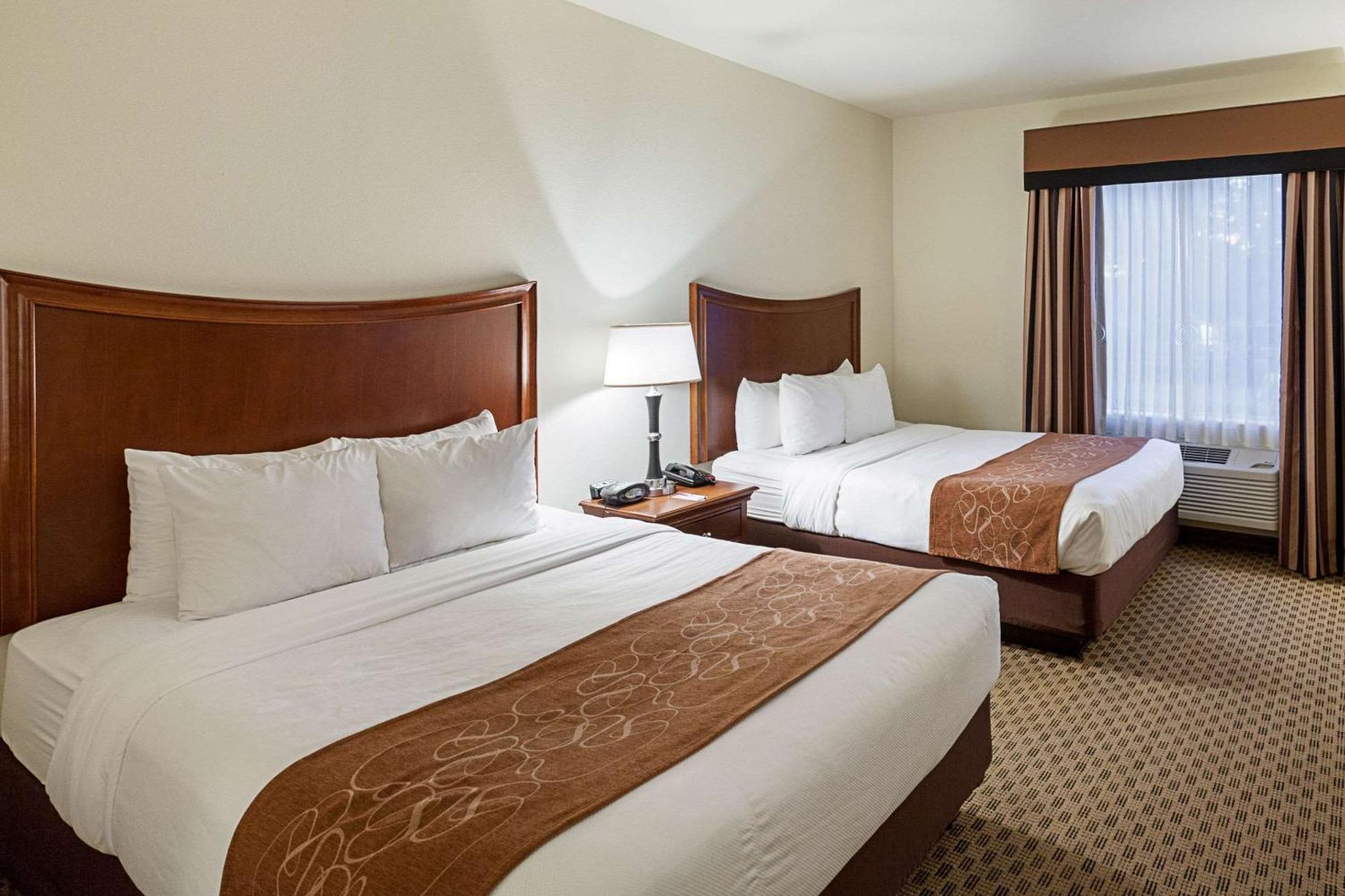 Comfort Suites San Antonio North - Stone Oak Extérieur photo
