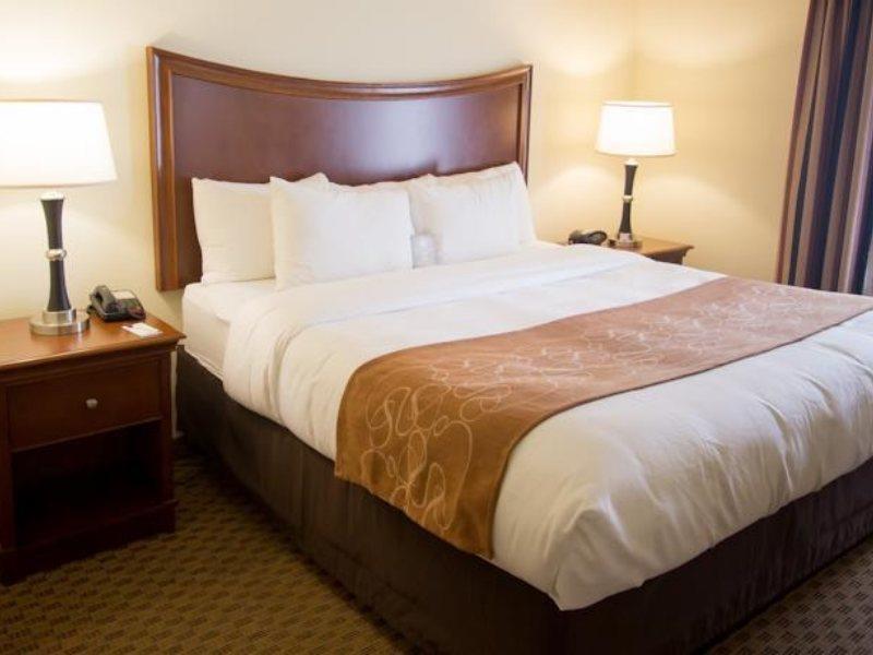 Comfort Suites San Antonio North - Stone Oak Extérieur photo